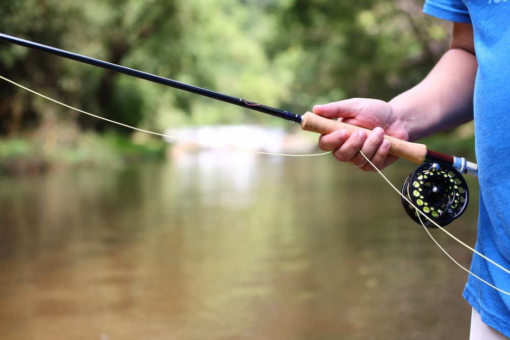 Best Beginner Fly Rods