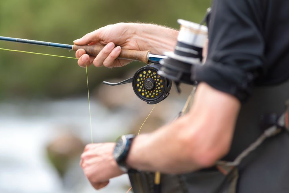 Best Fly Fishing Reels