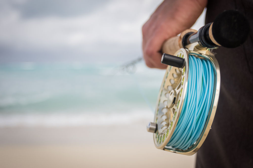 How to Choose the Best Fly Fishing-Reels