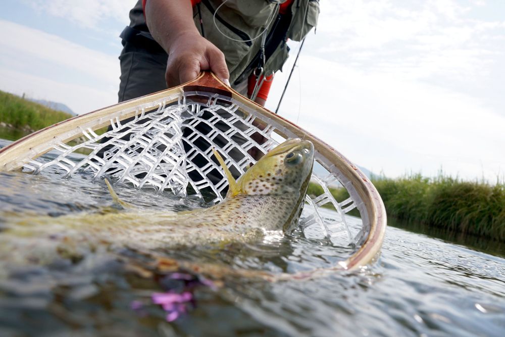 { TOP 14 } Best Fly Fishing Nets – Jun 2023 Reviews