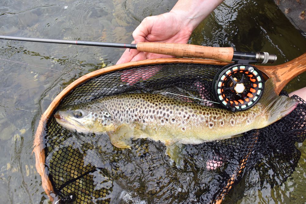 how to choose the best fly fishing nets