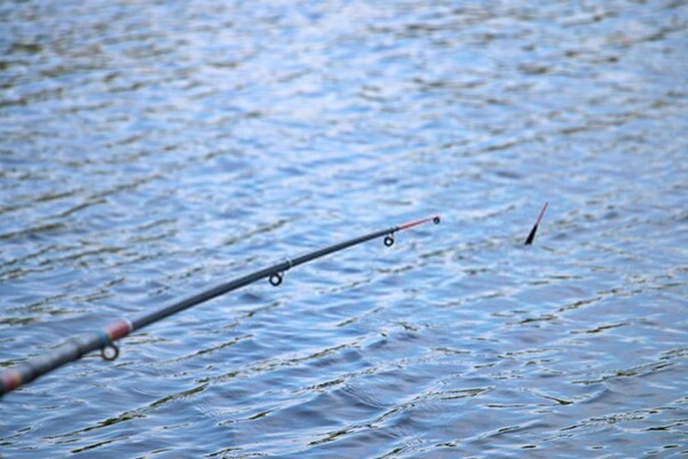 how to choose the best telescopic fishing rods