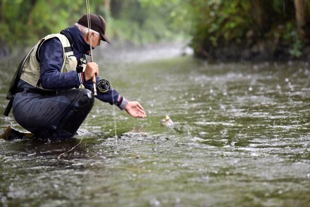 trout fishing in the rain