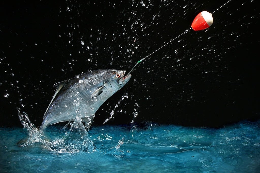 bass fishing at night