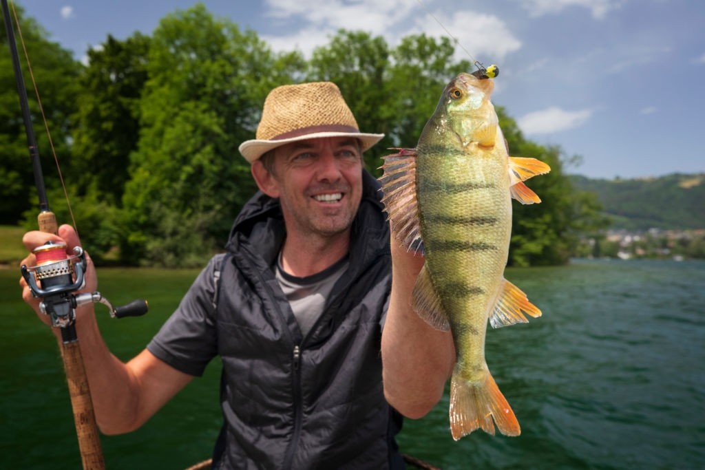 perch fishing tips