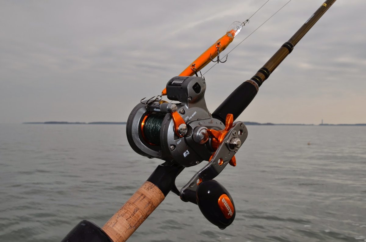 best line counter reels