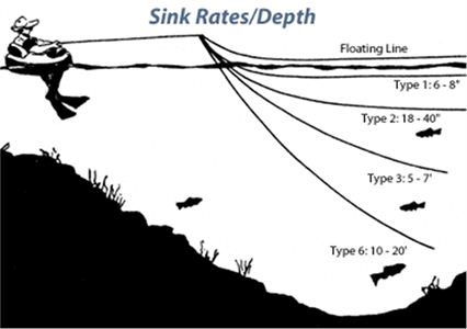 fly line sink rate