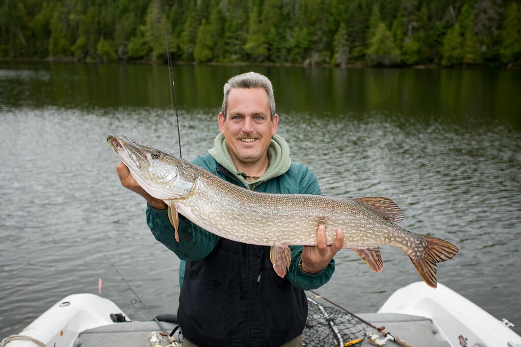 northern pike fishing tips