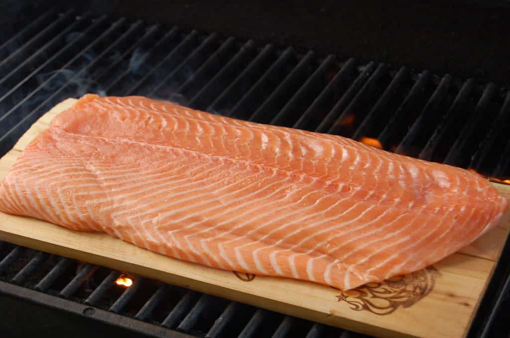 is pink salmon good to eat